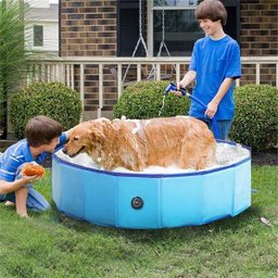 Piscina para Caes Pet Gato Cachorro Animal de Estimaçao Bebe Criança Banheira Dobravel Verao Sol Cal - 4