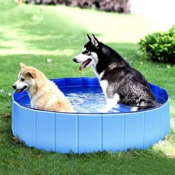 Piscina para Caes Pet Gato Cachorro Animal de Estimaçao Bebe Criança Banheira Dobravel Verao Sol Cal - 2