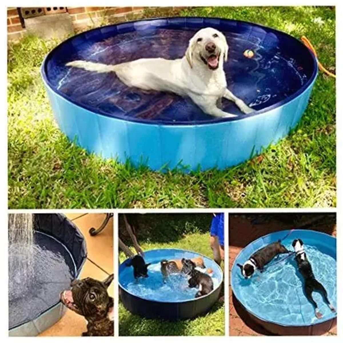 Piscina para Caes Pet Gato Cachorro Animal de Estimaçao Bebe Criança Banheira Dobravel Verao Sol Cal - 3