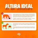 Ver imagem 6 de Comedouro Elevado Duplo Cão Porte Mini Marrom