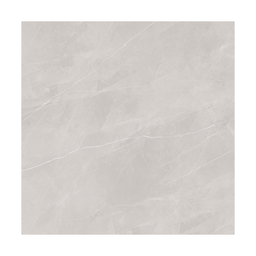 Porcelanato Incepa 120X120 LM Ortiz Cinza AC - 1