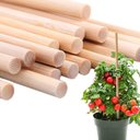 Ver imagem 1 de Estacas de Bambu para Tutor de Plantas: 70cm X 6mm - 400un