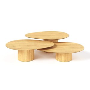 Conjunto Mesa de Centro Orgânica Stone em Madeira Damasco