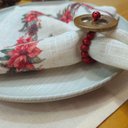 Ver imagem 5 de Kit 6 Porta Guardanapos Biojoias Artesanal Babaçu Açaí da Amazonia