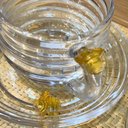 Ver imagem 3 de Xícarasde Chá com Pires Little Bee Abelha Colmeia Mel Cristal Ecológico 200ml Lyor