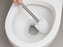Ver imagem 3 de Escova Sanitária Branca com Suporte para Banheiro e Lavabo