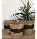 Ver imagem 2 de Jogo 3 Cestos Fibra Natural Organizador Palha com Preto