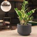 Ver imagem 4 de Vaso Ritmo 22 (10l) Cor Preto Mármore Vasap