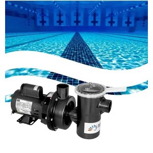 Conjunto Filtro F450p e Motobomba NBFC-2M 1/2CV para Piscinas de até 52 Mil Litros com Kit Limpeza