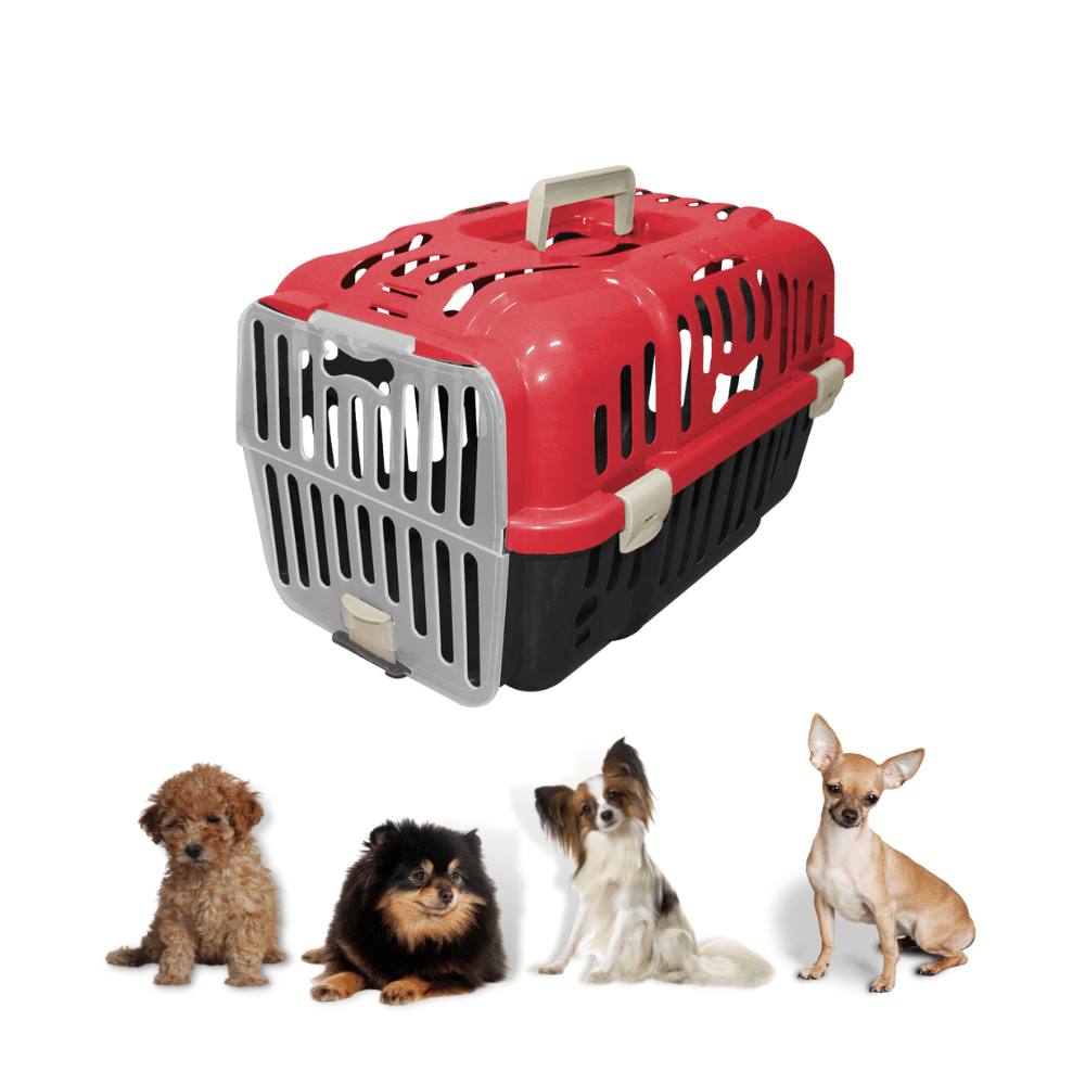 Caixa Transporte Para Cães Gatos Animais Até 6Kg Joy N1 Furacão Pet Caixa de Transporta Joy N1 Verme - 4