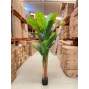 Ver imagem 7 de Bananeira Artificial Grande Planta Decoração com 1.90m, Planta Decorativa para Casa e Eventos.