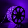 Mangueira Fita 120 Led Roxa 100 Metros Achatada 127v Ip66 + 4 Rabicho - 2