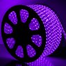 Mangueira Fita 120 Led Roxa 100 Metros Achatada 127v Ip66 + 4 Rabicho - 1