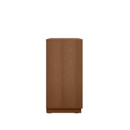 Sapateira 2 Portas 1 Gaveta Samambaia Cabecasa Madeiramadeira - 9