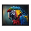 Ver imagem 6 de Kit 2 Quadros 60cm X 80cm Animal Arara e Penas Tropical Artes 