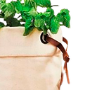 Ver imagem 1 de Cachepot com Detalhe em Couro Ecológico