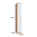 Ver imagem 4 de Guarda Roupa 1 Porta com Prateleira 245cm Setiba Plus Carvalho/branco