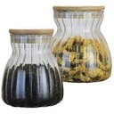 Ver imagem 1 de Kit 4 Potes Hermético Recipiente com Tampa Bambu 450ml e 1l