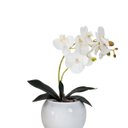 Ver imagem 1 de Arranjo Flores Orquídea Artificial Branca e Vaso - Branco