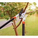 Ver imagem 2 de Tesourão de Poda Tipo Bypass Tramontina em Aço com Cabos Extensíveis de 46,5 até 78,5 Cm Tramontina