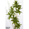 Árvore Planta Folhas Artificial Dracena Decorativa Real - 2