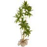 Árvore Planta Folhas Artificial Dracena Decorativa Real - 1