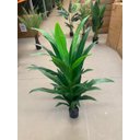 Ver imagem 7 de Planta Artificial Dracena Toque Real Premium Decoração 1.40m, Planta Decorativa para Casa e Evento.