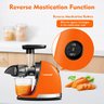 Amzchef Slow Juicer de Pressão a Frio com Função Reversa (laranja Sol) - 3