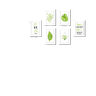 Quadros Placas mdf 6mm sala cozinha plantas 6un 29x20 - 1