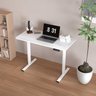 Mesa Escritório com Regulagem de Altura Elétrica Flexispot 120cm Industrial Branco - 6