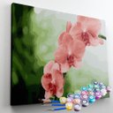 Ver imagem 1 de Kit Pintura Terapêutica Flores Orquídeas - Pintura Numerada