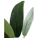 Ver imagem 4 de Bananeira Premium Folhagem Verde Planta 1.8m Artificial