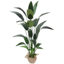 Ver imagem 1 de Bananeira Premium Folhagem Verde Planta 1.8m Artificial