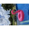 Boia de Flamingo Pink Gigante 120cm para Piscinas - 3