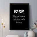 Ver imagem 1 de Quadro Decorativo Dica do Dia 33x24cm:moldura Branca