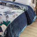 Ver imagem 2 de Cobertor Grosso e Quente Casal Antialérgico Raschel Estampas Estampa:charleston