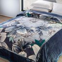 Ver imagem 1 de Cobertor Grosso e Quente Casal Antialérgico Raschel Estampas Estampa:charleston