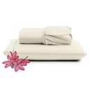 Ver imagem 1 de Jogo Cama Lençol Unique Solteiro 400 Fios - Palha