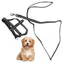Ver imagem 3 de Coleira Peitoral Guia Ajustavel Cachorro Gato Pet Cao Passeio Viagem Antipuxao Treinamento Adestrame