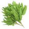 10 Ramos Decoração Arranjo Samambaia Artificial 35cm - 1