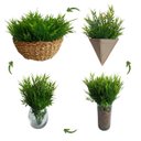 Ver imagem 3 de Kit de 20 Folhagens Artificial Premium para Arranjos Decorativos e Ambientes Sofisticados