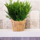 Ver mais imagens de Kit de 20 Folhagens Artificial Premium para Arranjos Decorativos e Ambientes Sofisticados