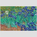 Ver imagem 2 de Quadro Van Gogh Iris Tela No Chassi 45X30Cm