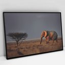 Ver imagem 1 de Quadro Decorativo em Canvas Elefante na Savana - Moldura Preta - 120 x 80cm