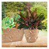 Vaso Cachepot para Plantas Suculentas Ervas Flores 3d 1,4 Litros - 2