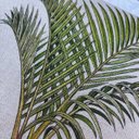 Ver imagem 3 de Capa de Almofada Linho Palmeira Verde Moldura Marrom 45x45cm - Palmeira 3
