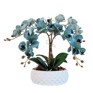 Arranjo 4 Orquídeas Azul Artificial Vaso Cerâmica Branco