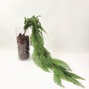 Ver imagem 6 de Kit 3 Samambaia Artificial Pendente 84cm Planta Permanente