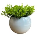 Ver imagem 1 de Arranjo Centro de Mesa Vaso Branco Verdinho Artificial Completo Decore Fácil Shop