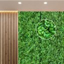 Ver imagem 1 de 10 Placas Trevo Artificial para Decoração Morderna em Casa e Escritório Folhagem e Textura Realista